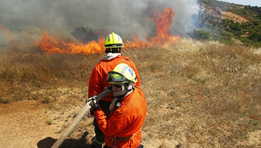 Decretan alerta roja por incendio forestal en San Juan de Pirque