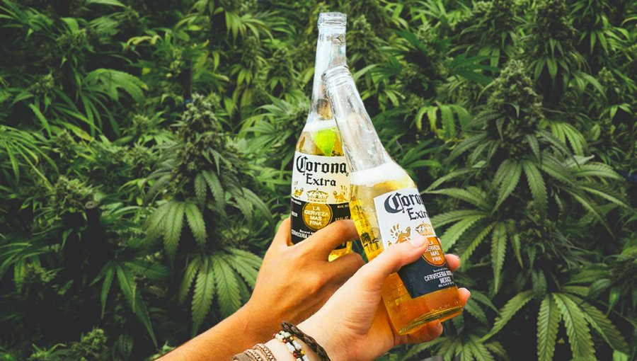 Dueños de Cerveza Corona realizan millonaria inversión en empresa que produce "marihuana"