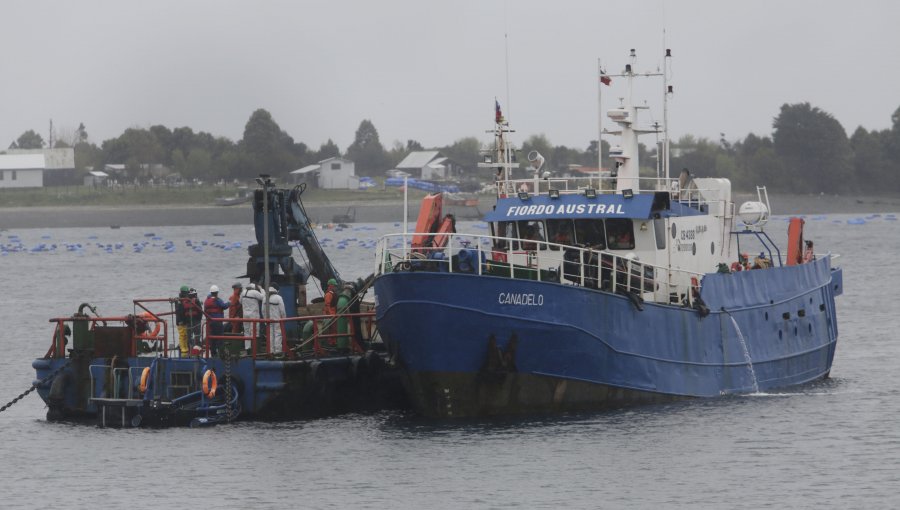 Concluye descarga de salmones descompuestos desde embarcación Seikongen