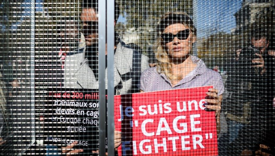 Pamela Anderson se encierra en jaula para protestar por el sufrimiento de los animales de granja