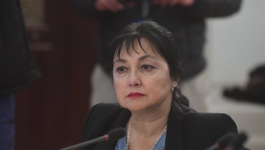 Diputada Carolina Marzán: "No se puede indicar que la paralización de Enap es ilegal"