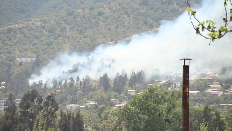Incendio Forestal en Limache moviliza a Bomberos y Conaf