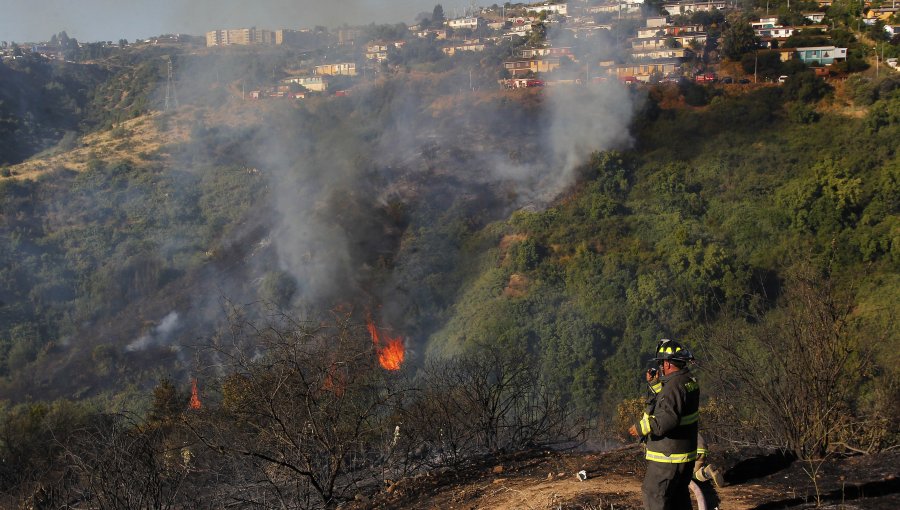 Decretaron Alerta Roja en Melipilla por incendio forestal