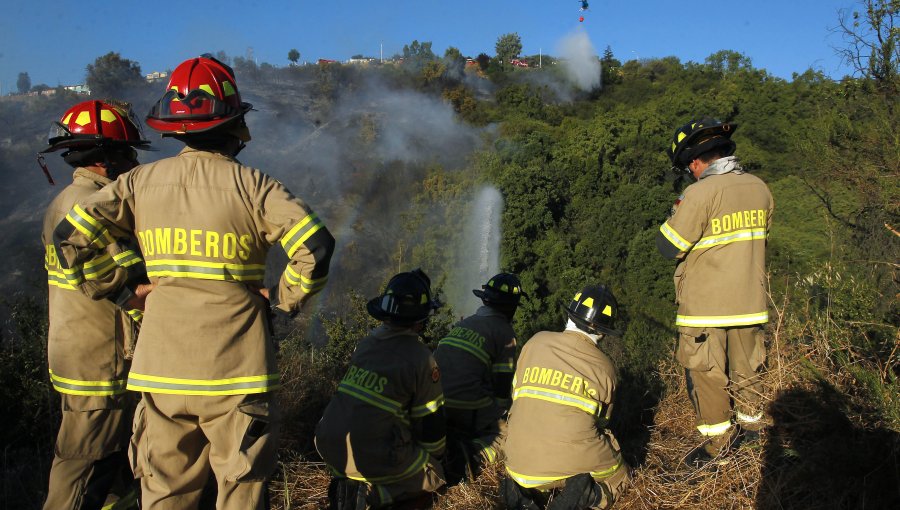 Incendio forestal que generó Alerta Roja en Melipilla fue controlado
