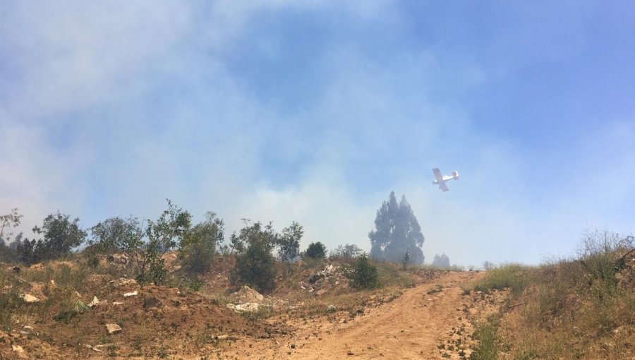 Quilpué: Dos focos de incendios sin control se registran en el sector El Yugo