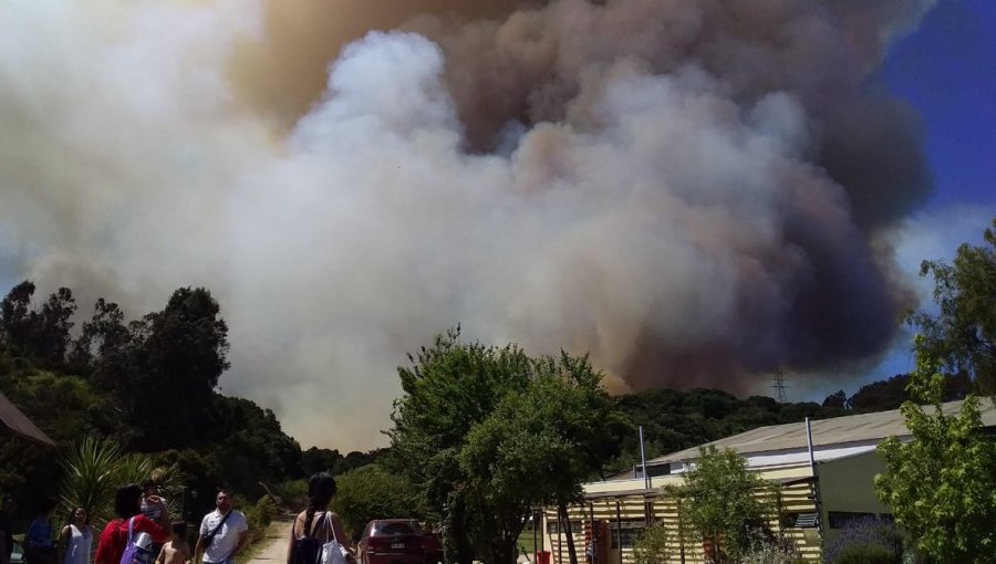 Incendio Forestal en Mantagua descontrolado: Se acercan a las 30 hectáreas la superficie arrasada por el fuego