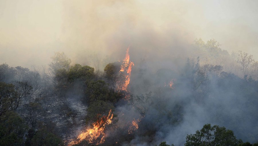 Onemi declaró Alerta Roja para la comuna de Quilpué por incendio forestal