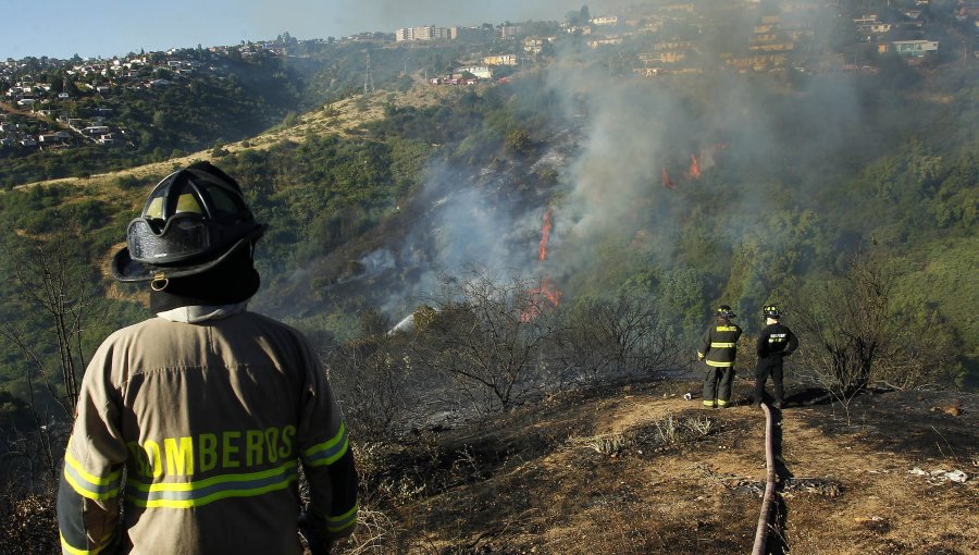 Conaf advierte riesgo de incendios forestales para cinco regiones del país
