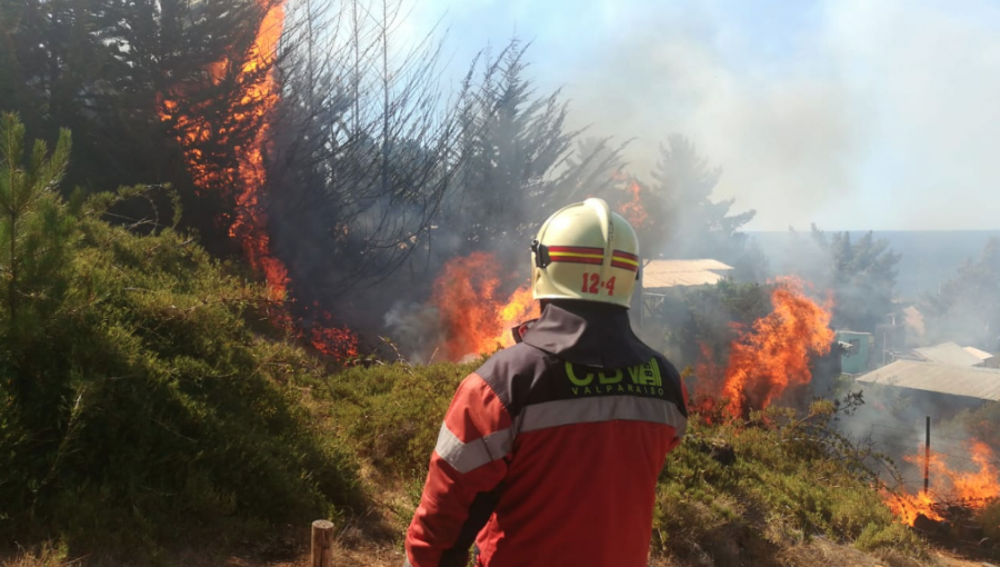 Alerta Roja en Valparaíso por incendio forestal que ha consumido dos casas