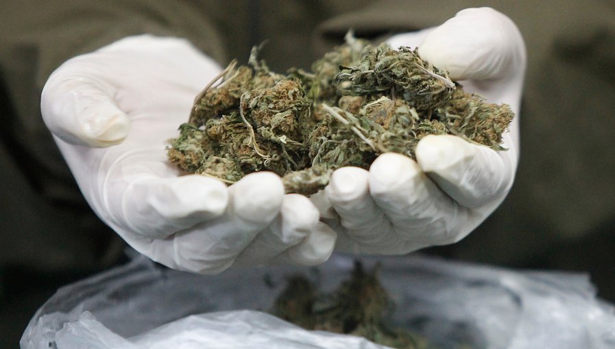 110 kilos de marihuana cripy fueron incautados en complejo fronterizo de Antofagasta