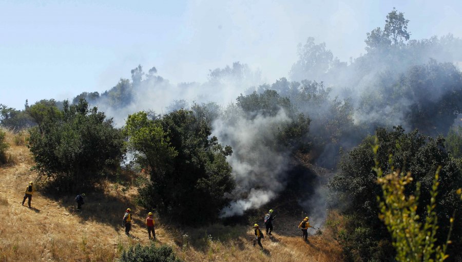 Declaran nueva alerta roja en Valparaíso por incendio forestal en Laguna Verde