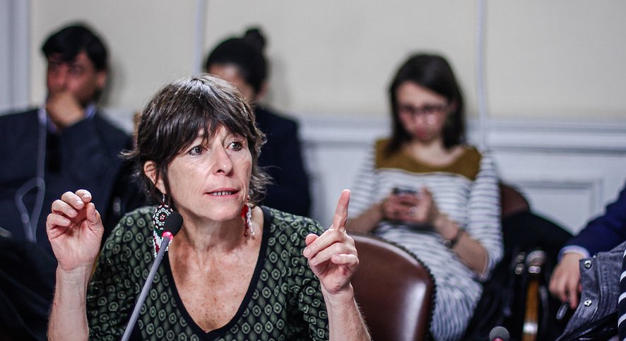 Cristina Girardi presenta recurso de protección a favor de apoderados del INBA