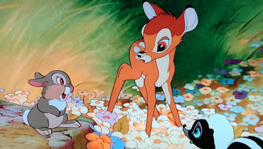 Cazador ilegal deberá ver "Bambi" una vez al mes durante un año