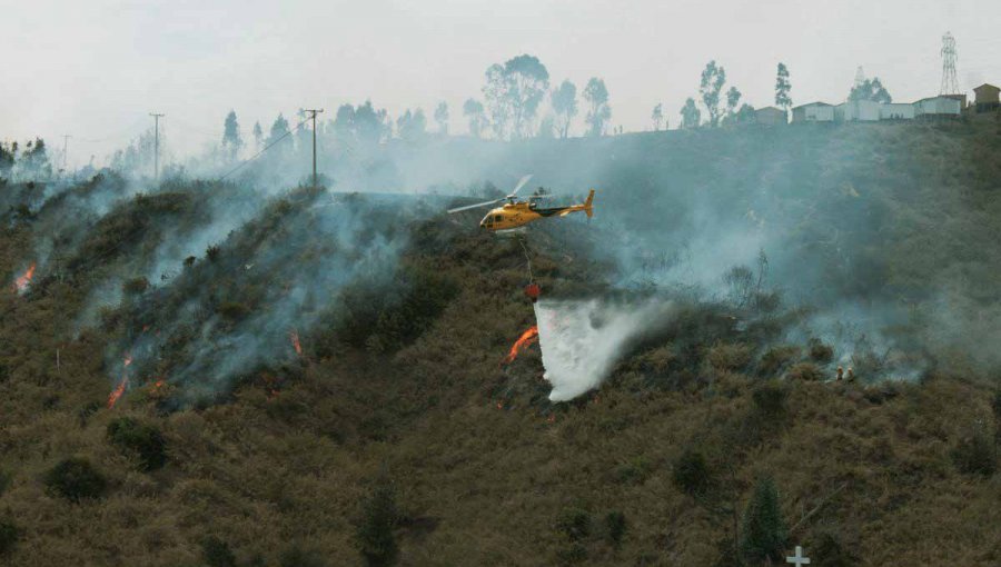 Incendio en limite de Villa Alemana con Limache consume 35 hectáreas y deja 2 casas destruidas