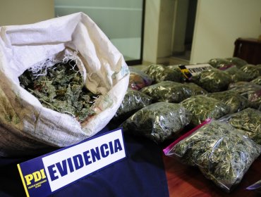Incautan en Los Vilos 69 kilos de cannabis sativa destinada a las regiones de Valparaíso y Metropolitana