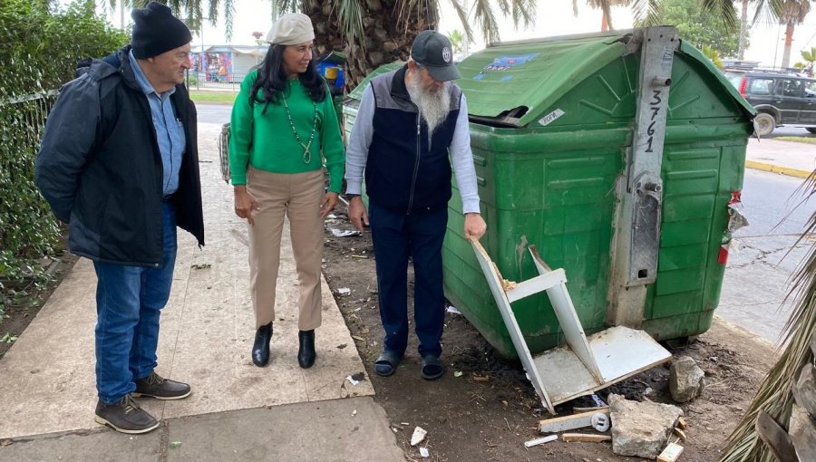 Basura, plaga de ratones y deplorable estado de veredas y áreas verdes: viñamarinos denuncian abandono municipal en la Av. San Martín