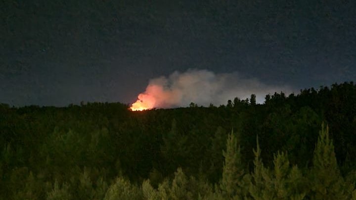 Decretan Alerta Roja para Valparaíso por incendio forestal "activo en todos sus sectores con intensidad alta"