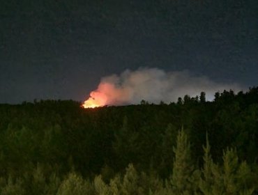 Decretan Alerta Roja para Valparaíso por incendio forestal "activo en todos sus sectores con intensidad alta"
