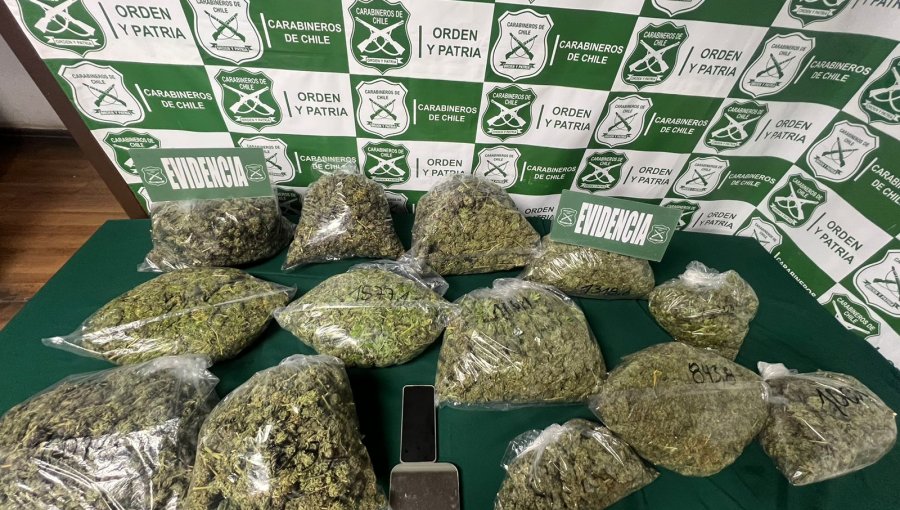 Descubren container con cerca de 14 kilos de marihuana en Algarrobo