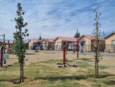 Inauguran «Los Nogales 1», nuevo barrio que beneficia a 54 familias de Catemu
