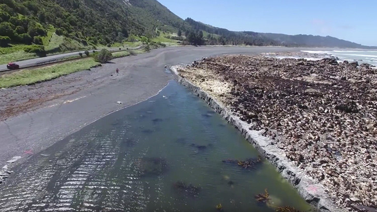 El lecho marino queda a la vista tras el terremoto de 7,8 en Nueva Zelanda