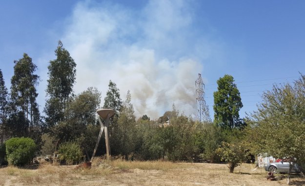 Incendios forestales levanta las alarmas en el sector del Belloto