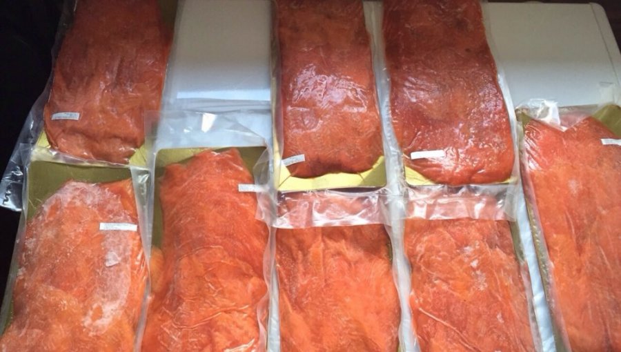 Atención: Minsal llama a no consumir salmón envasado "Von Fach"