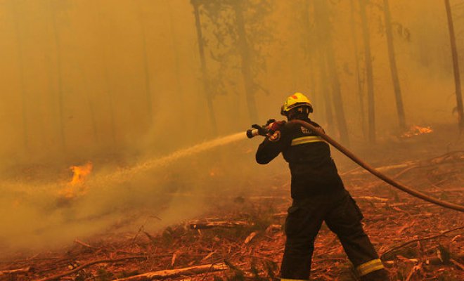 Conaf: Combate de incendios forestales tuvo un costo de $17 mil millones