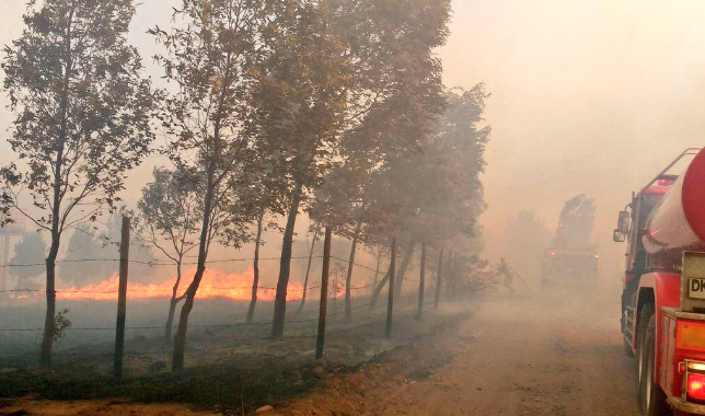 Onemi declara Alerta Roja por incendio forestal en Quillón