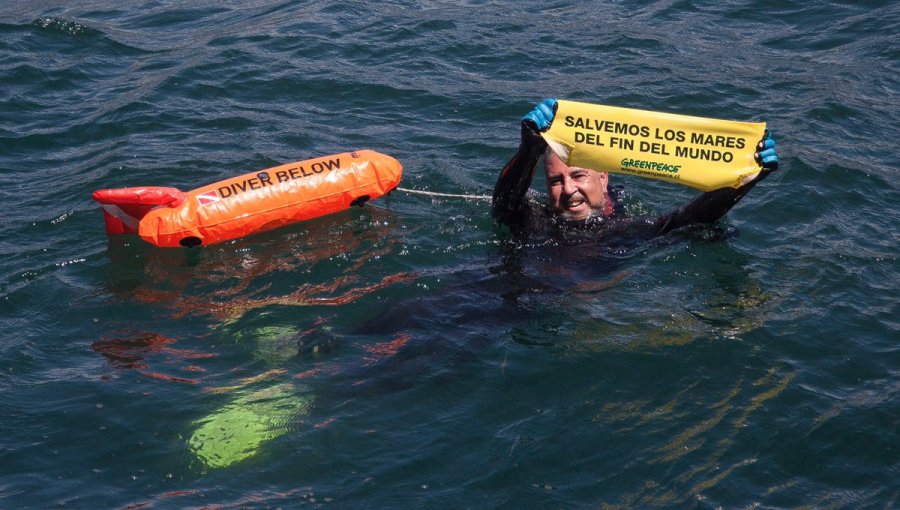 Solitario nadador sorprende en Bahía de Valparaíso: Fue a saludar al barco de Greenpace