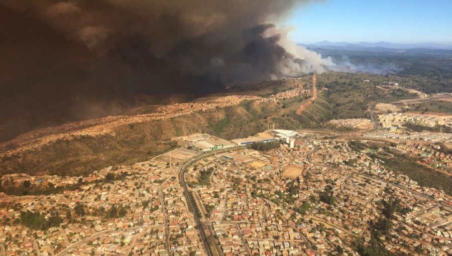 Evacuación masiva en Viña del Mar tras incendio forestal en Las Palmas