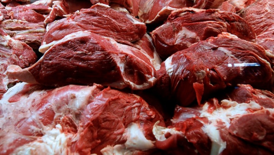 Carlos Furche asegura que no hay constancia de carne adulterada en Chile
