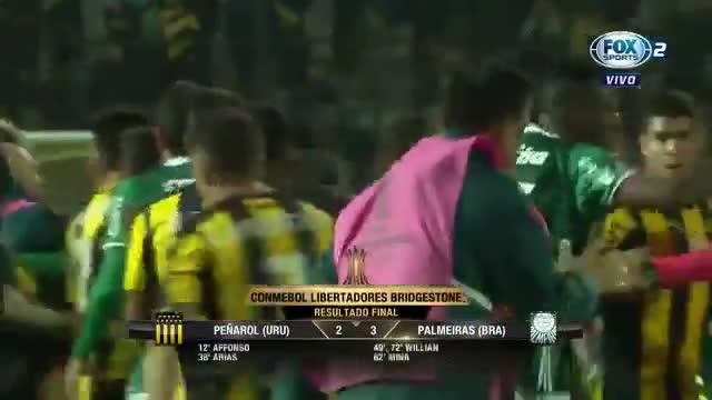 Así fue la brutal batalla campal en Copa Libertadores entre Peñarol y Palmeiras