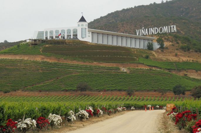 Grupo Bethia vende tres de sus viñas a gigante vitivinícola chino