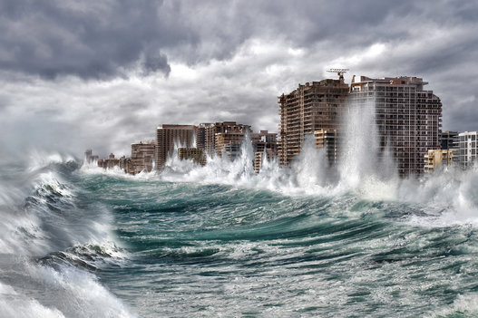 Greenpeace alerta que Viña del Mar debe aumentar la altura de sus futuras edificaciones