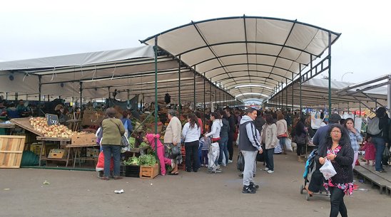 Feria Caupolicán de Gomez Carreño finalmente cuenta en su totalidad con regularización de terrenos