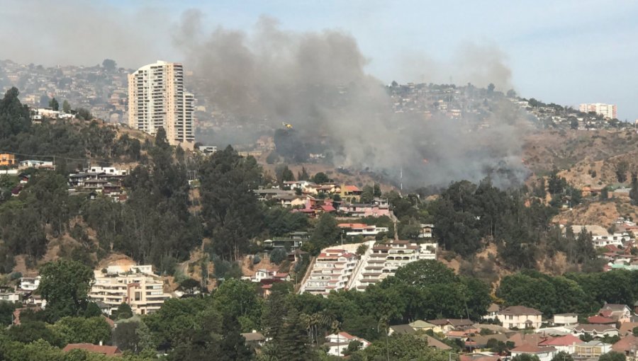 Alerta Roja en Viña: Incendio forestal en Limonares se reactivó en Miraflores Bajo