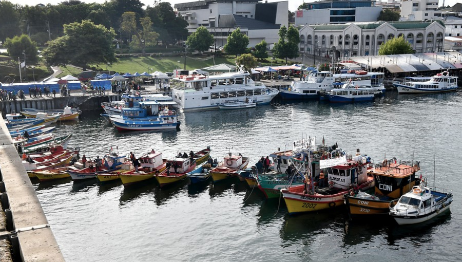 Pescadores artesanales de Valdivia se tomaron un puente en protesta por ley de la jibia