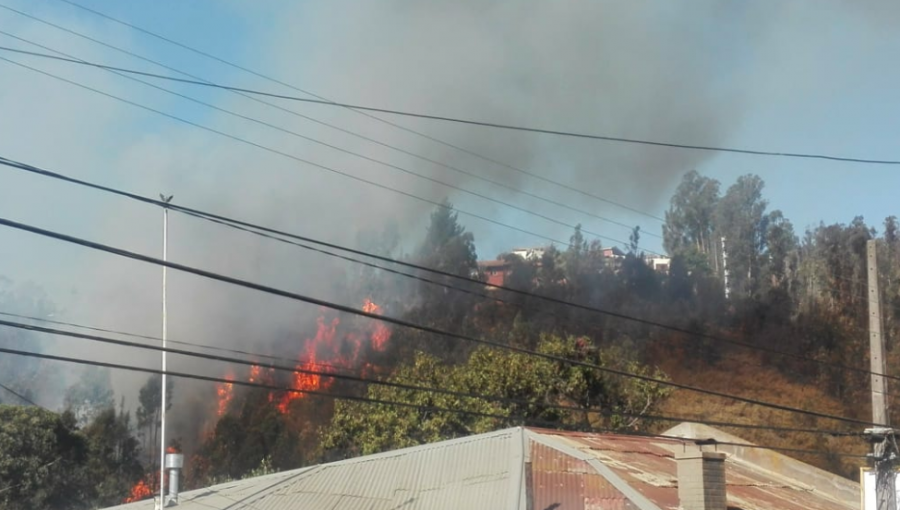 Incendio forestal en Santos Ossa amenaza a zona residencial y a unidad de Carabineros