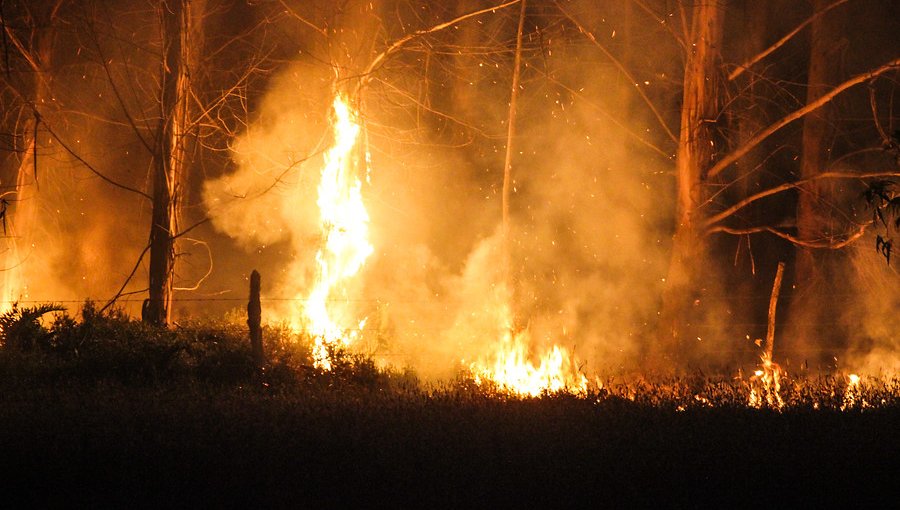 31 de los 113 incendios forestales en la zona centro-sur del país se encuentran activos
