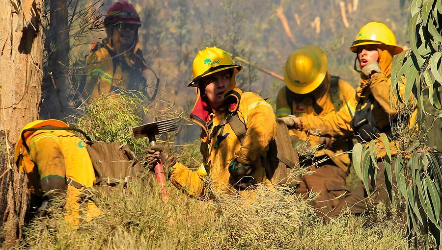 Alerta Roja en Valparaíso por incendio forestal en Santos Ossa: fuego fue controlado