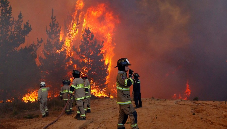 Incendios forestales han consumido más de 1.900 hectáreas en la región del Biobío
