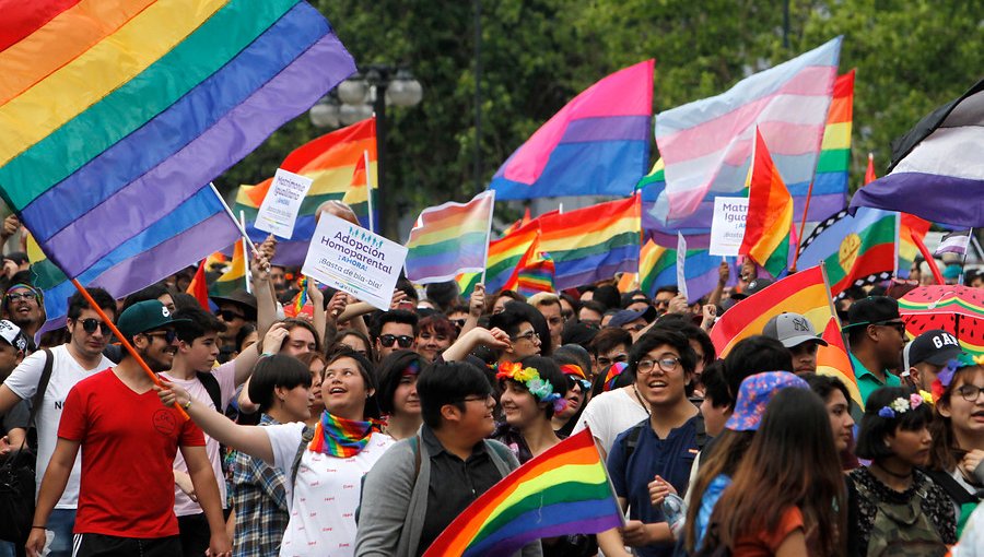 Movilh se manifestará el 14 de febrero por el matrimonio igualitario en Santiago, Valparaíso y Concepción