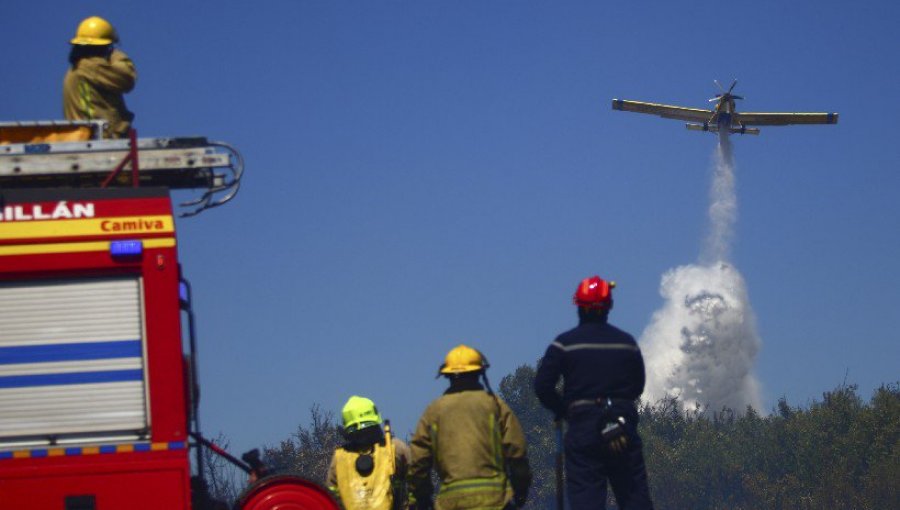 Alerta Roja en dos comunas de Ñuble por incendio forestal: no descartan intencionalidad