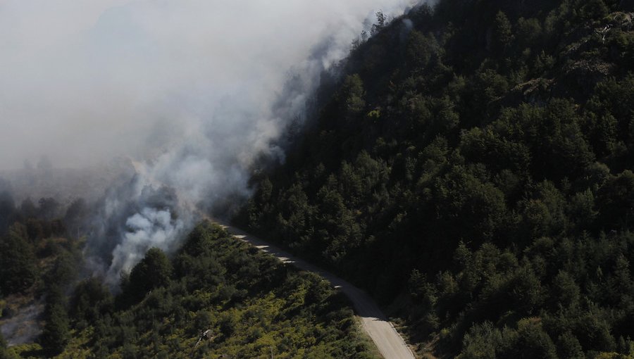 Onemi: 27 de los 74 incendios forestales en la zona centro sur se encuentran activos
