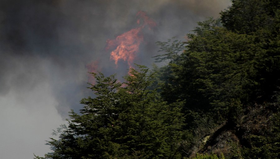 32 incendios forestales se encuentran activos entre la región Metropolitana y la de Aysén