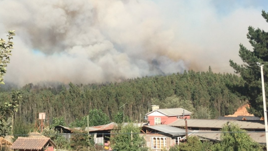 Declaran Alerta Roja en Coelemu y Chillán por incendios forestales