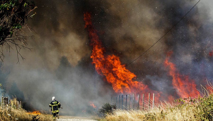 Partido Ecologista responsabilizó al Estado y al sector privado por los incendios forestales en el país