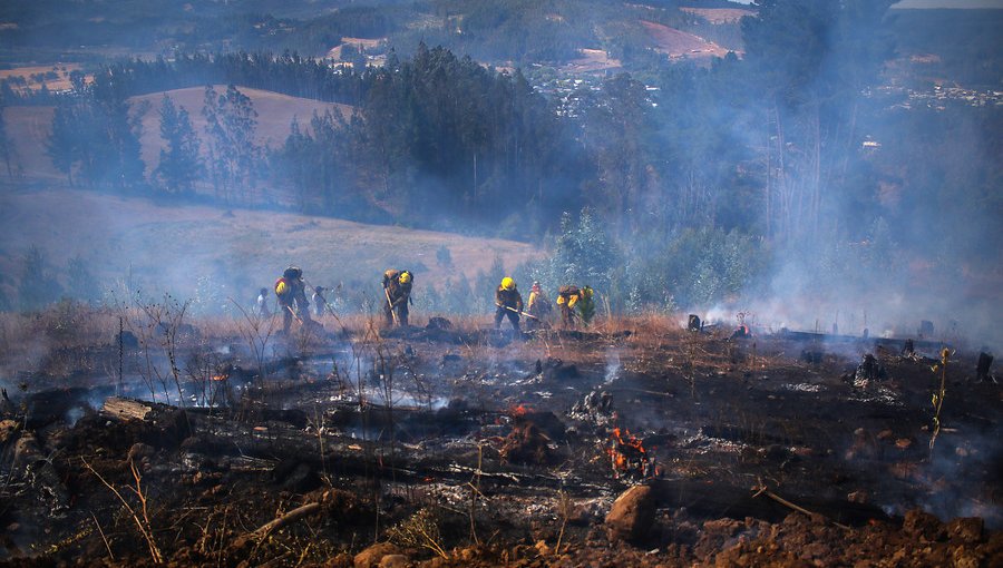 Incendios forestales en La Araucanía han dejado 50 damnificados y 38 viviendas quemadas