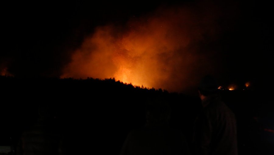 Conaf solicita Alerta Roja para la comuna de Pitrufquén por avance de incendio forestal